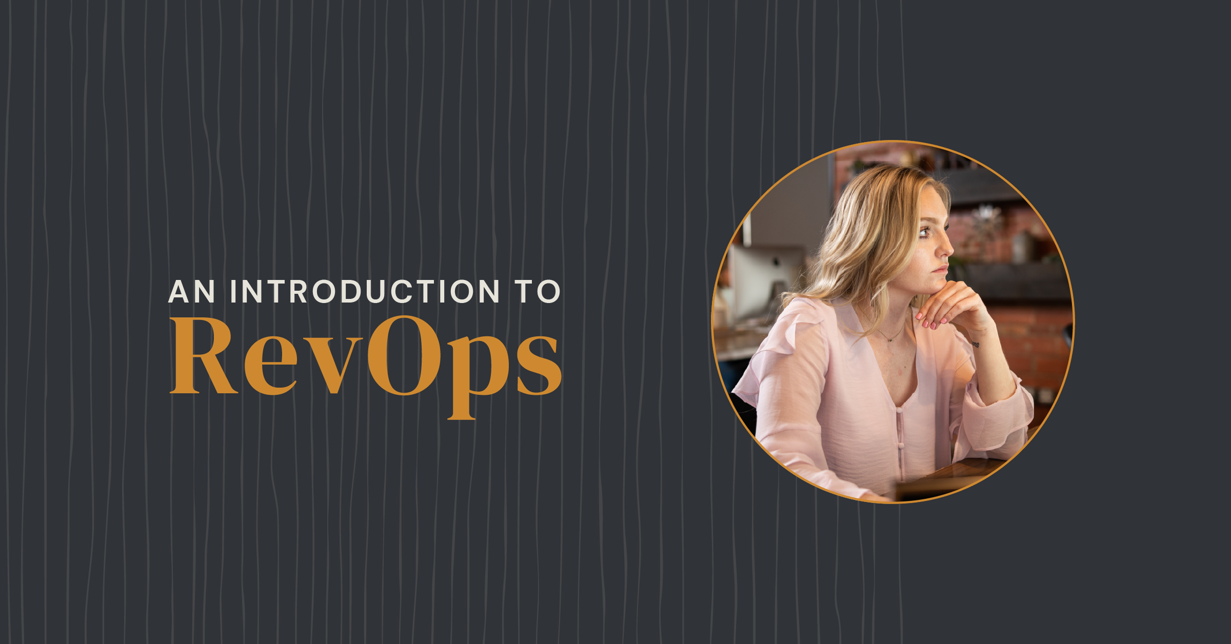 An Introduction To RevOps