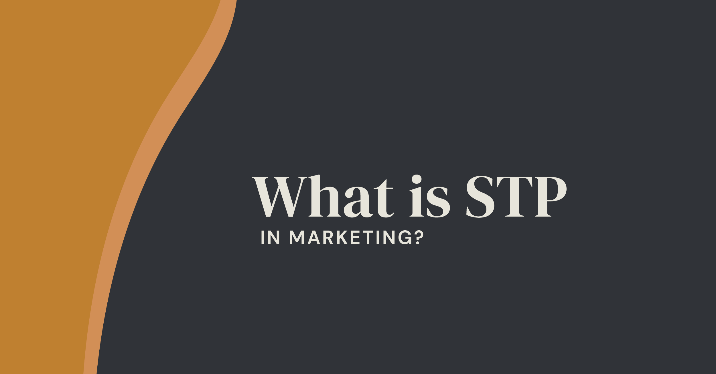 What is STP in Marketing?