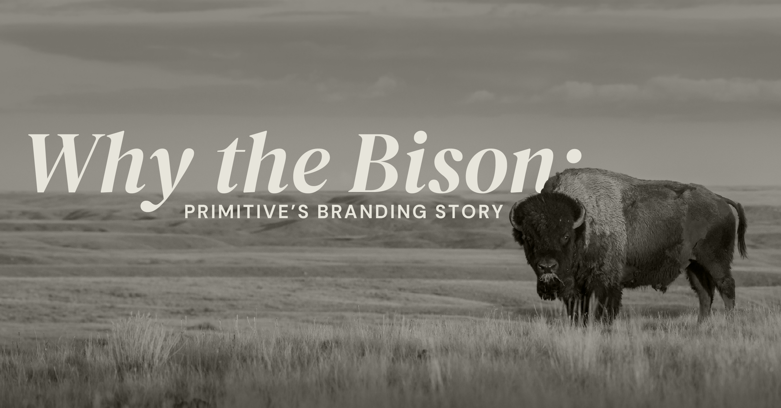 Why the Bison: Primitive’s Branding Story