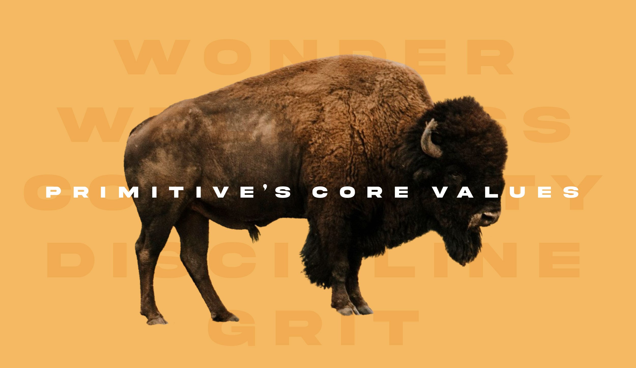 Primitive’s Core Values